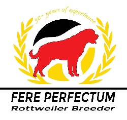 Rottweiler kennel logo featured image