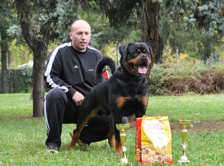 Rottweiler male TKs Ivan The Great