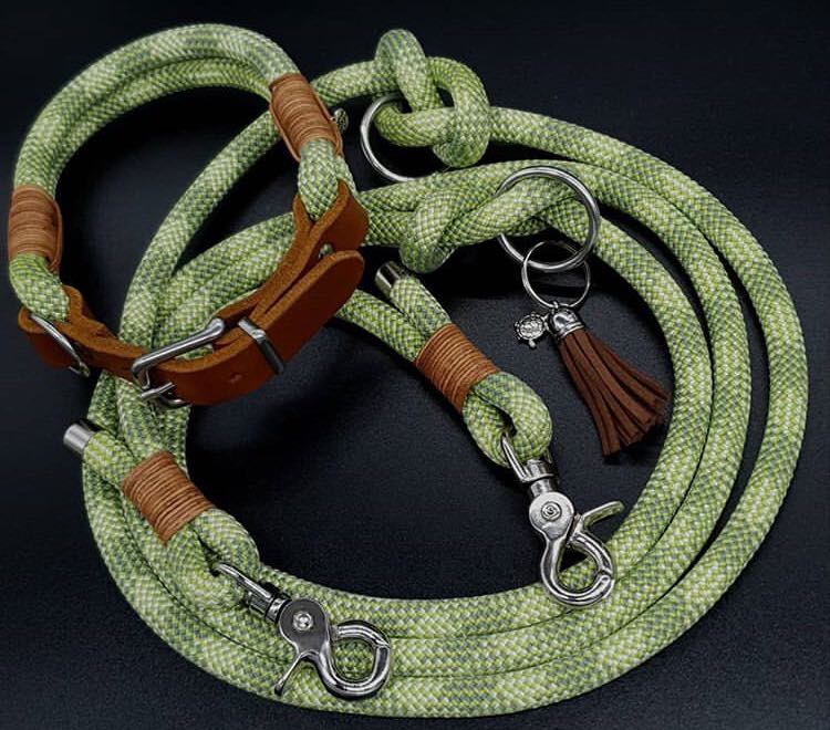 Leash for dog - Leash training